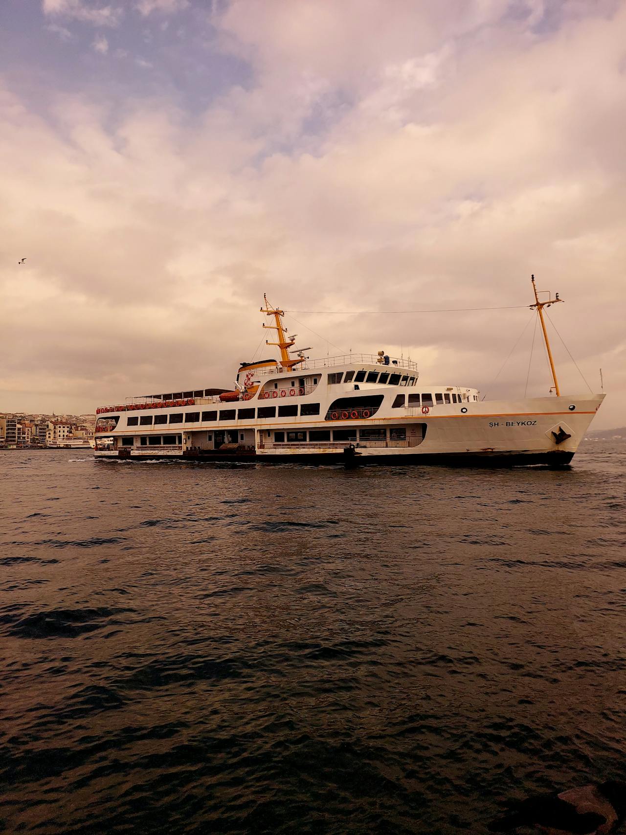 pexels-vera-1489239008-27009719